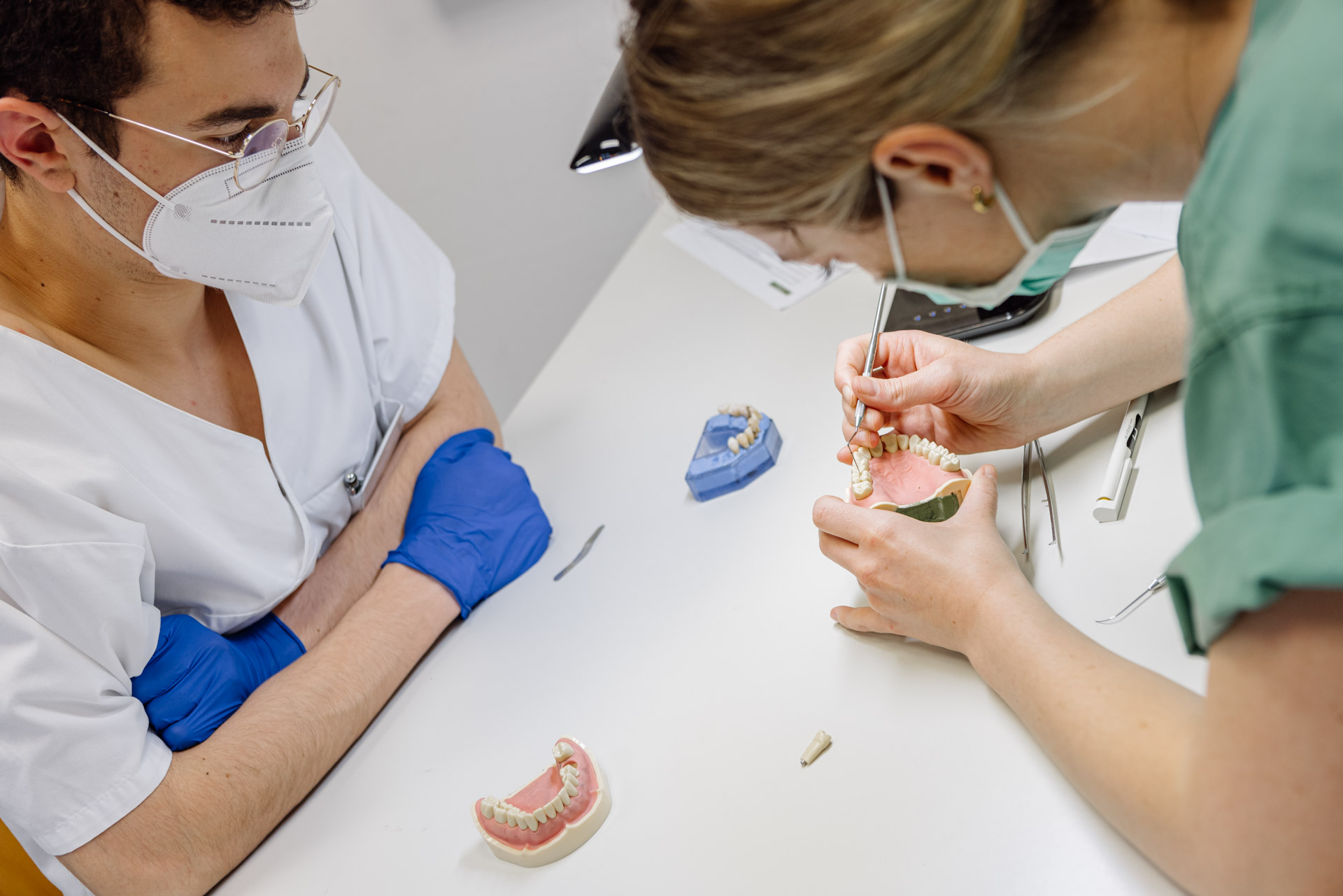 Professor examines tooth model